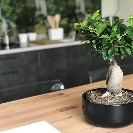 Blisko Suntago Hostel Mszczonow