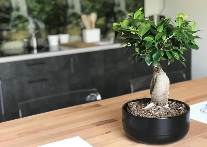 Blisko Suntago Hostel Mszczonów